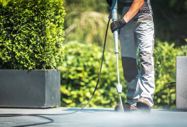 Best Dumpster Area Cleaning  in Dearborn Heights, MI